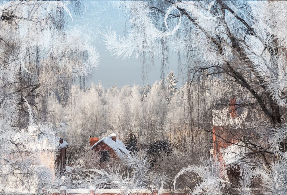 Фотография автора Oleg Podlesnykh