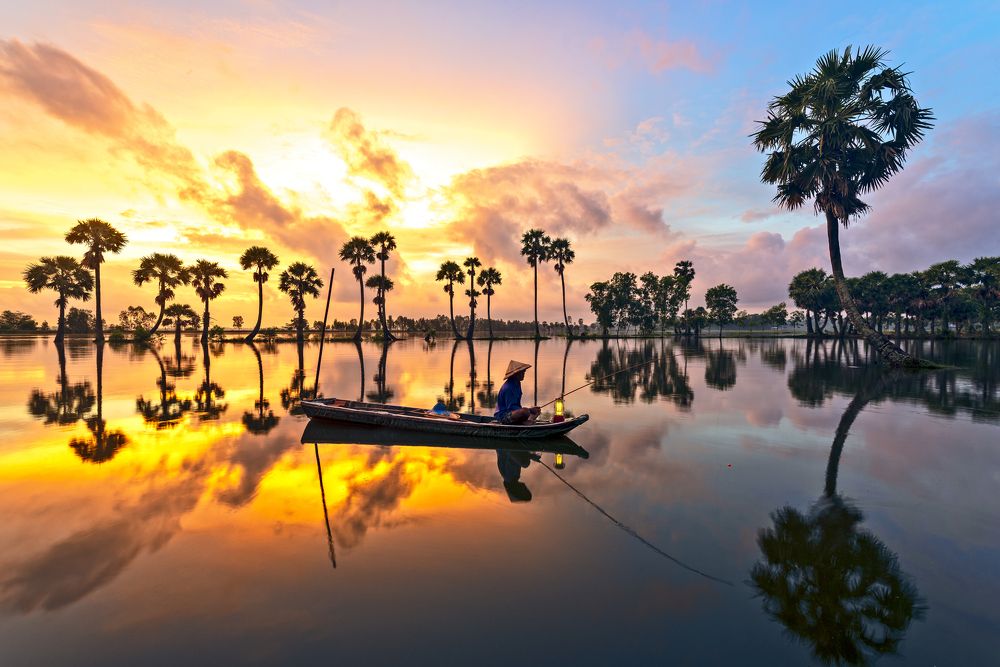 morning on the palm tree line