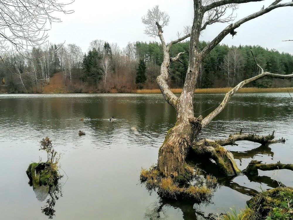 Photograph by Евгений