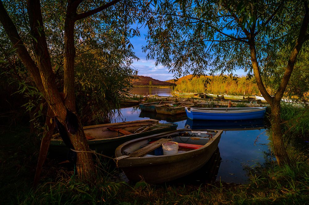 Photograph by Olariu Razvan