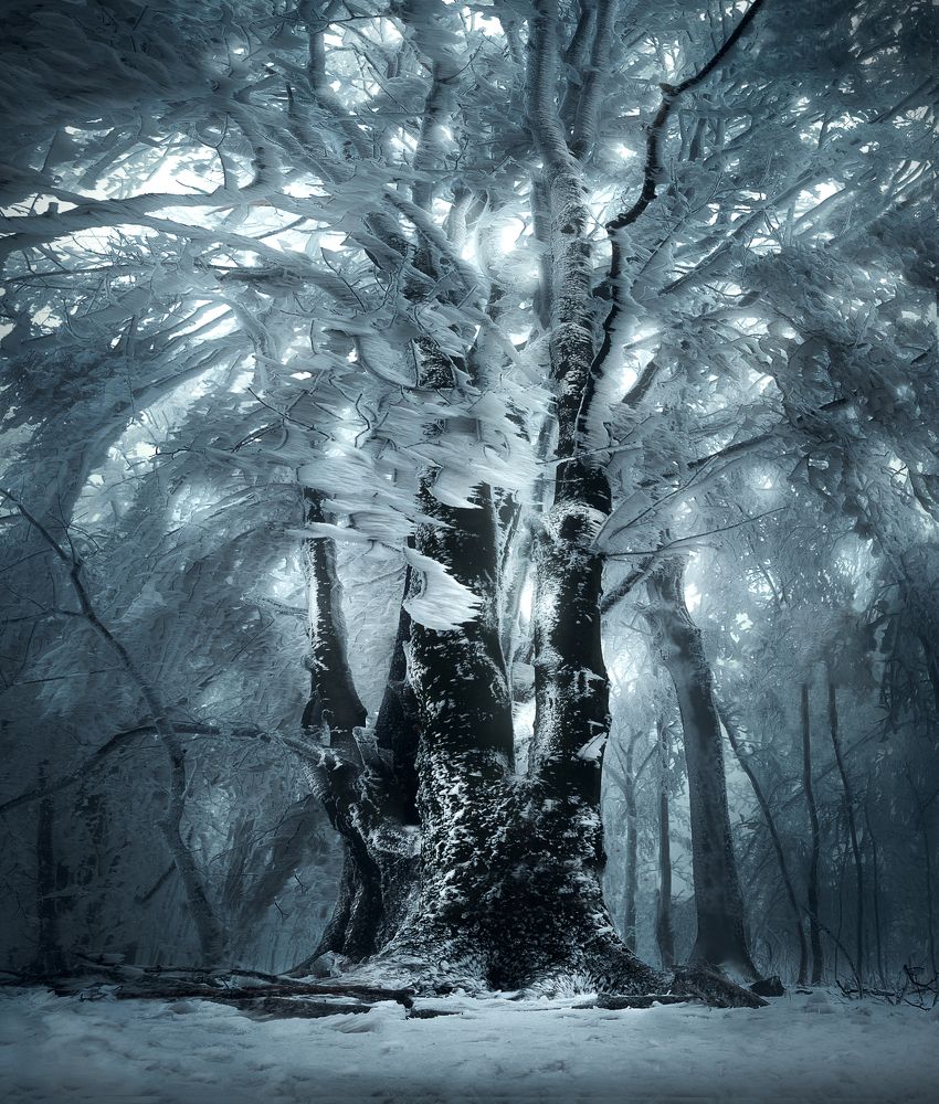 Фотография автора Peter Dužek