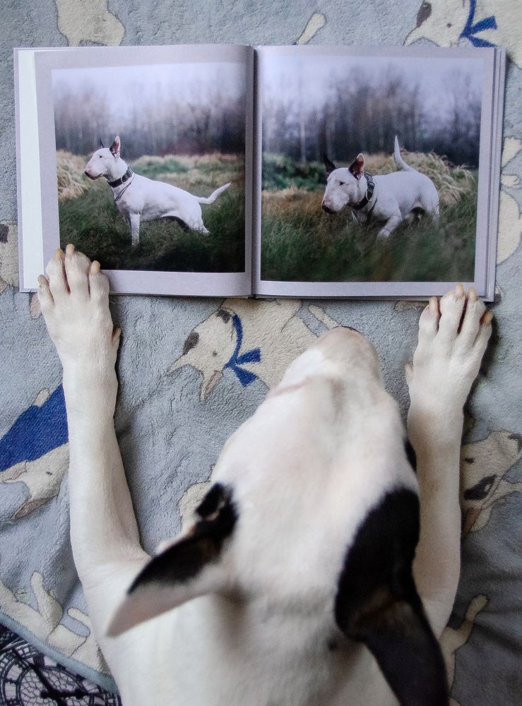 Самолюбование