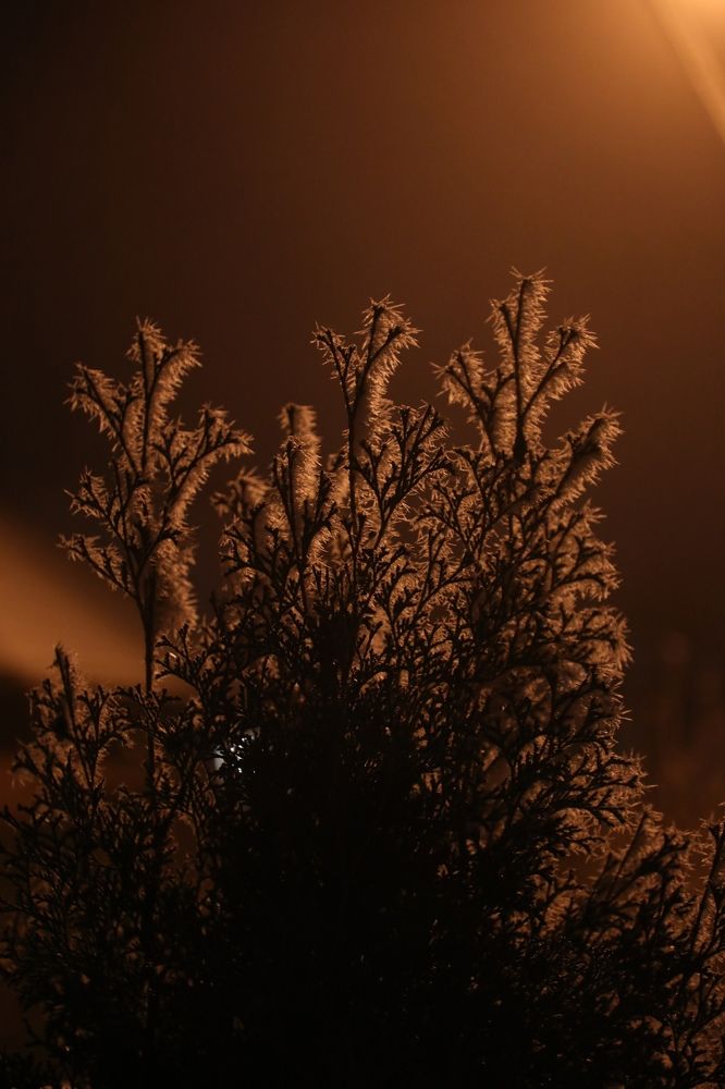 Photograph by Дарья Юсарева