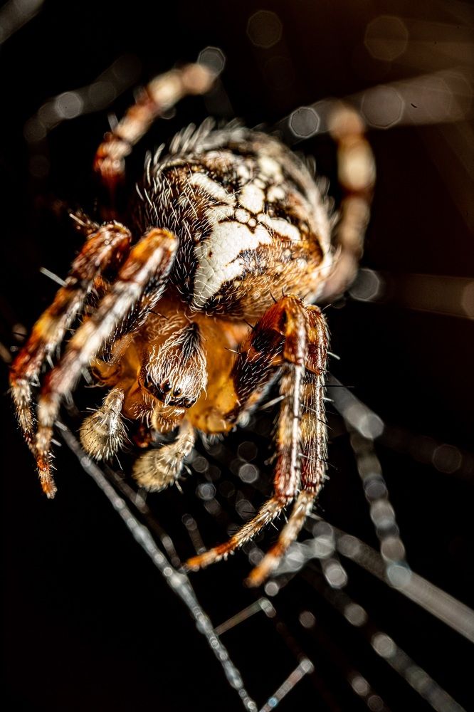 Photograph by Марина Беликова