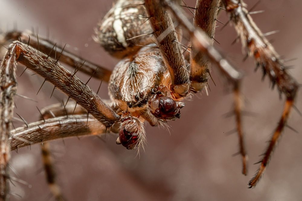 Photograph by Марина Беликова