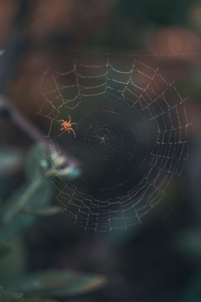 Photograph by Марина Беликова