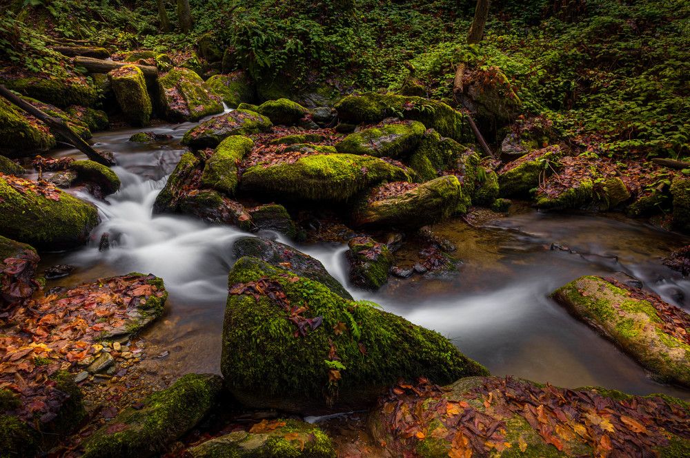 Photograph by Olariu Razvan