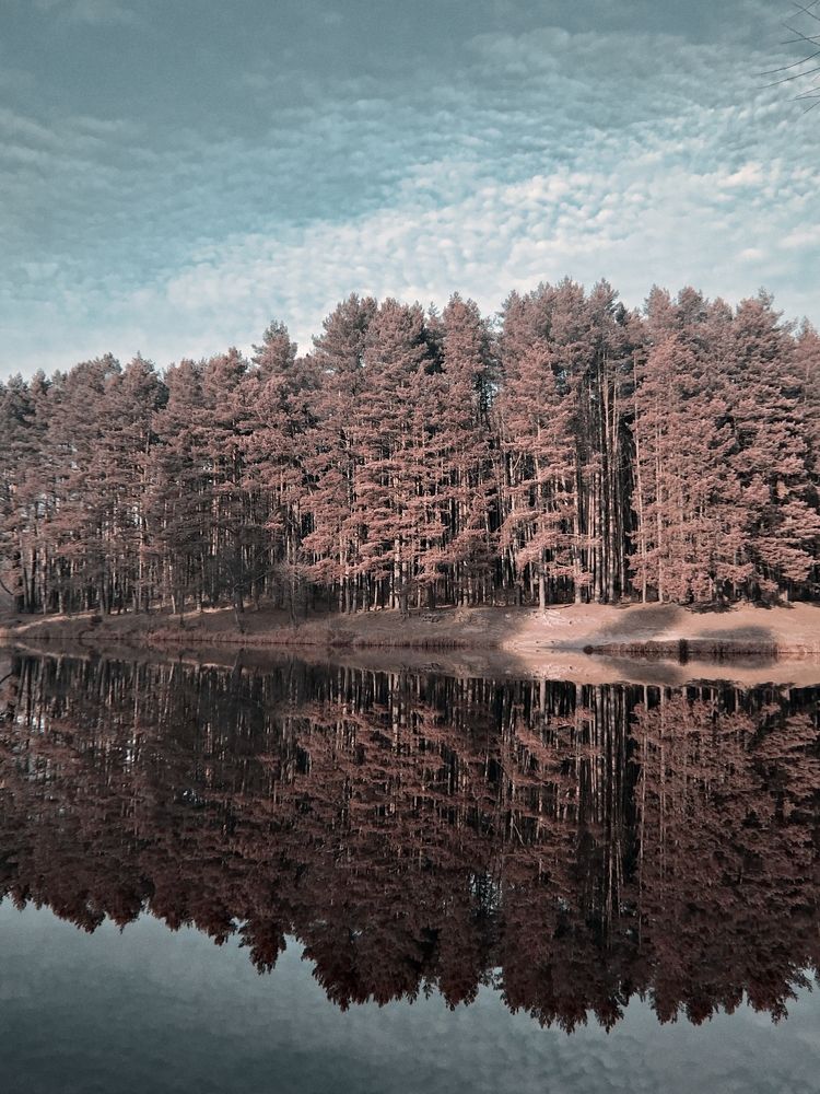 Photograph by Mary Ryzhenkova