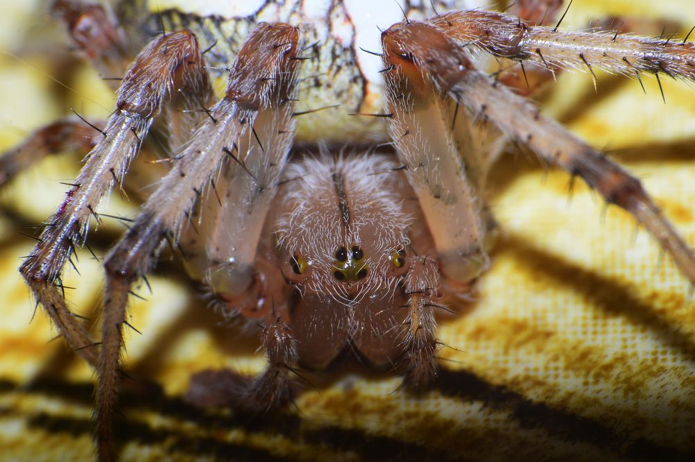 Photograph by Андрей Михайлов