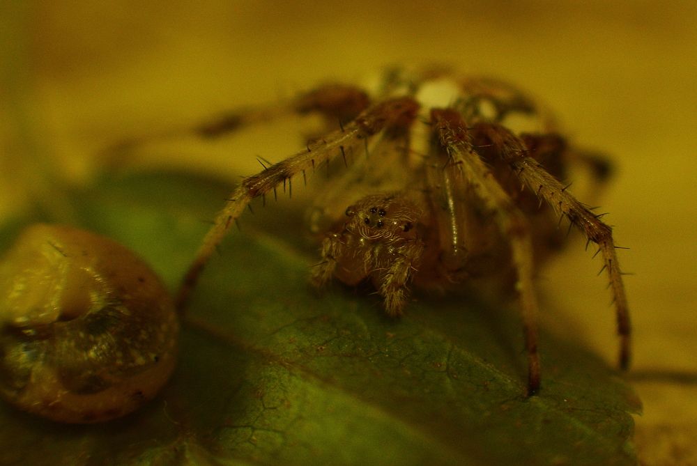 Photograph by Андрей Михайлов