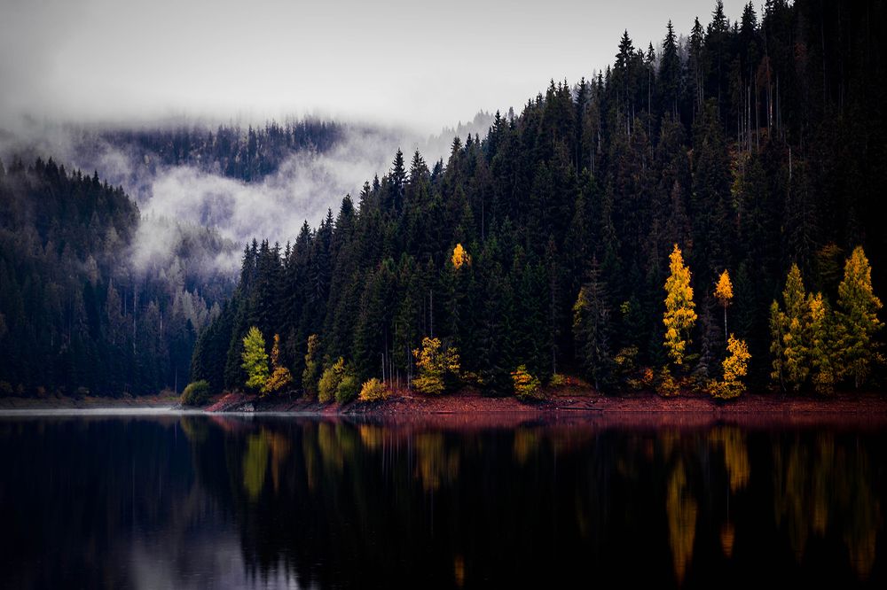 Photograph by Olariu Razvan