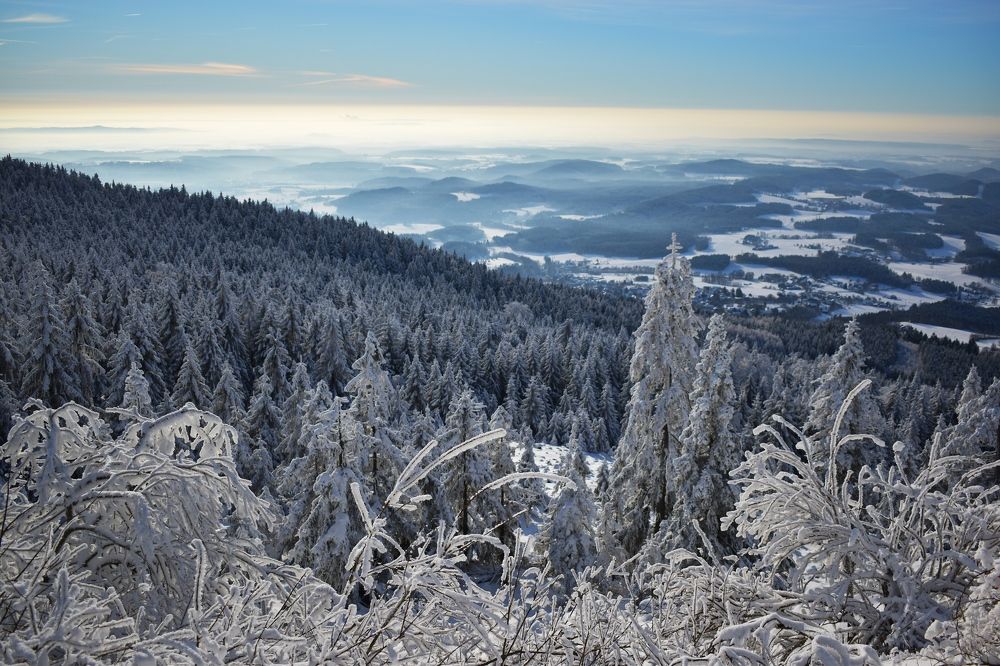 Photograph by Олена Кваша