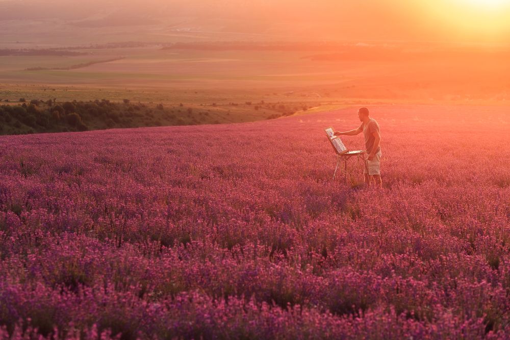 Лавандовое поле на закате