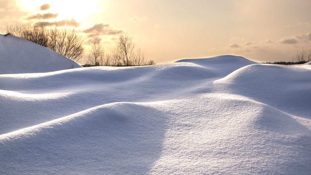 Photograph by Людмила Железнова