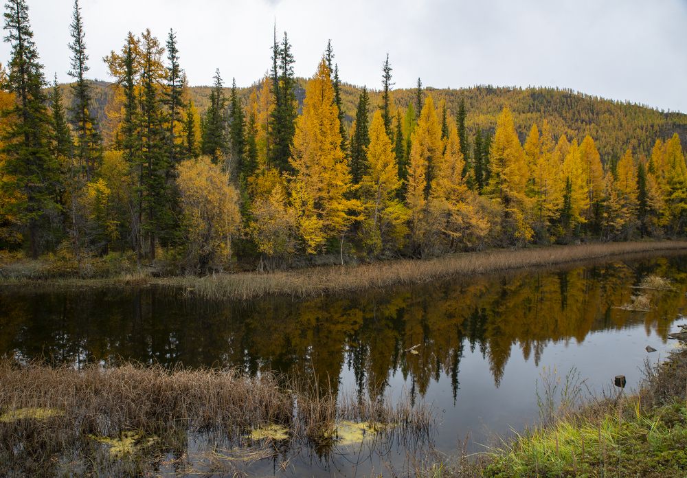 Photograph by Ольга Лукахина