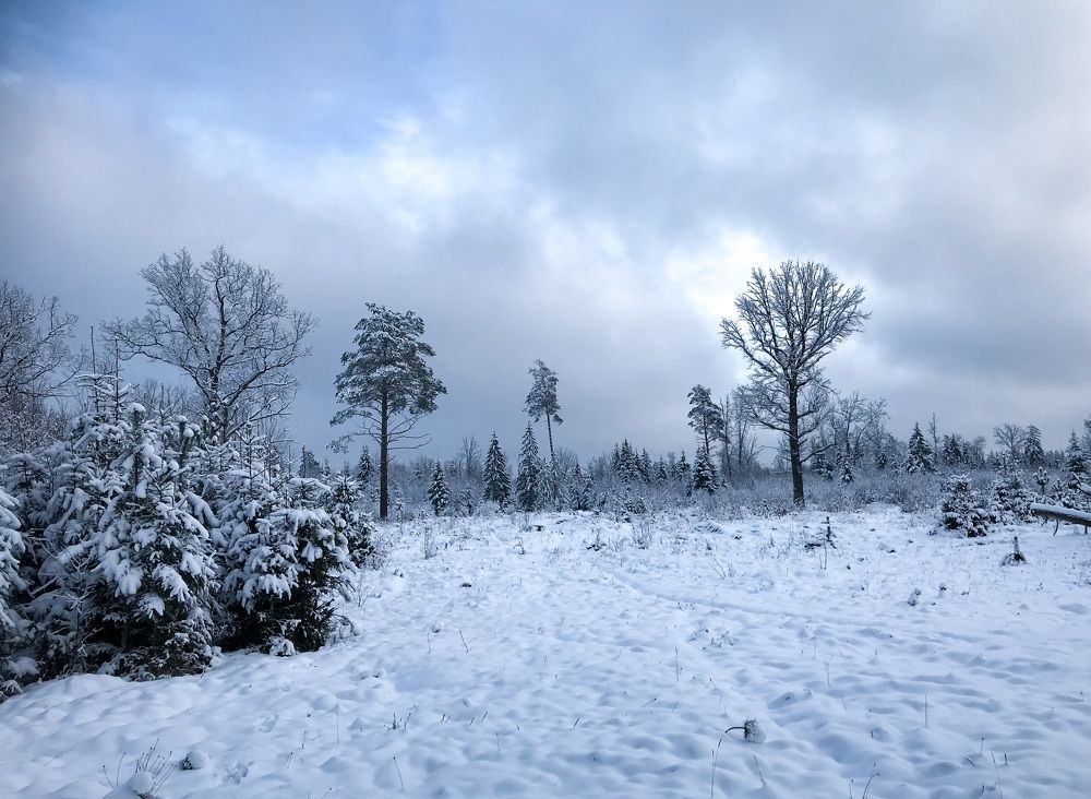 Photograph by Mary Ryzhenkova