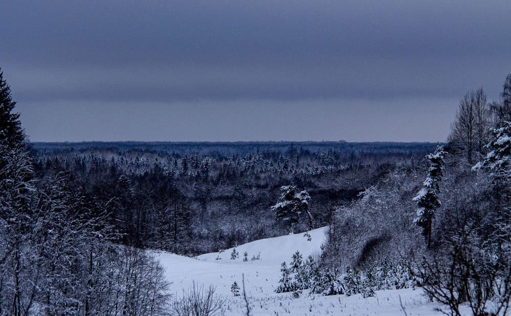 Photograph by Дмитрий