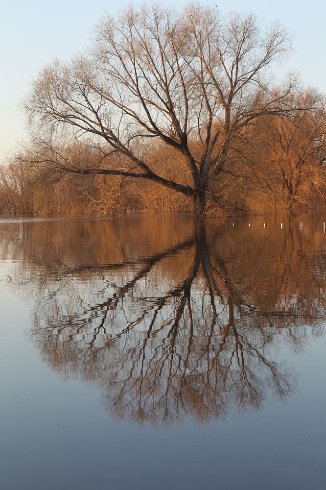 Photograph by Яна Попова