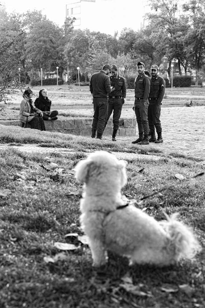 Photograph by sajjad dadpour