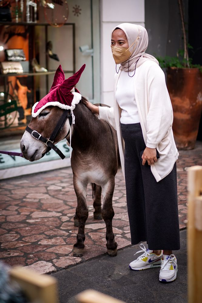 Photograph by Yustiawan