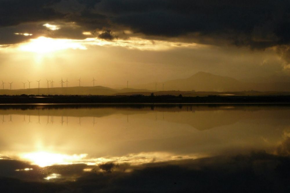 Photograph by Людмила