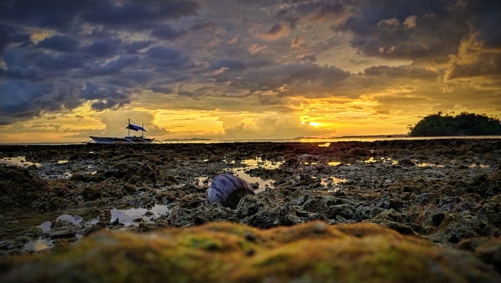 Photograph by DEXIN XANDER T DE DIOS