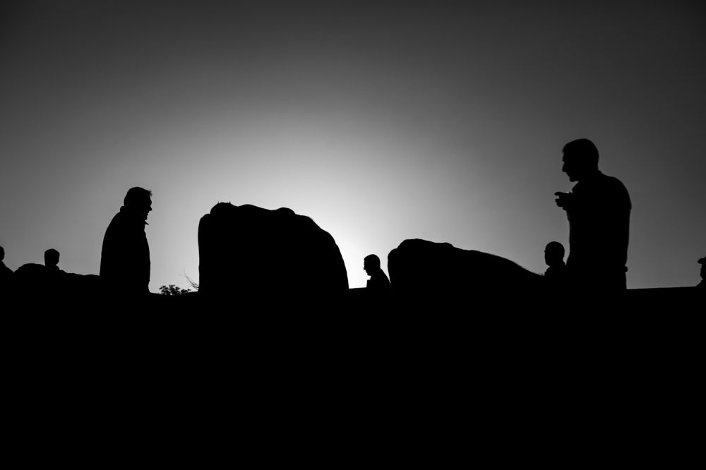 Photograph by sajjad dadpour