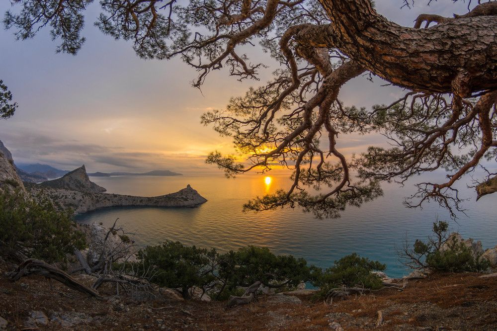 Photograph by Андрей Муравин