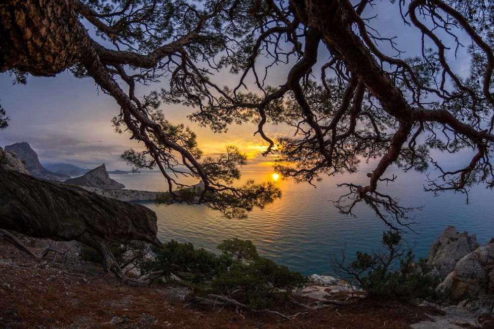 Photograph by Андрей Муравин