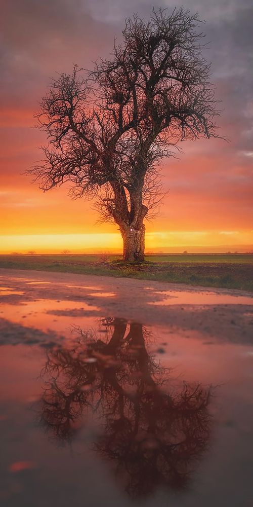 Величие в одиночестве.