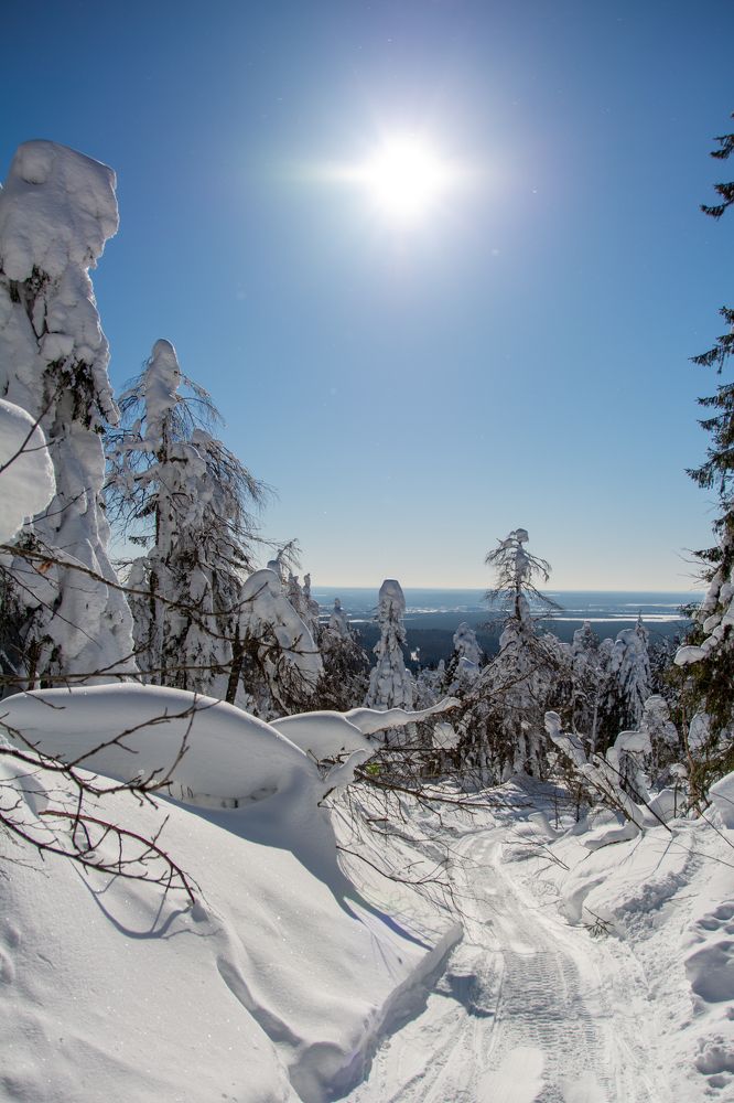 Photograph by Екатерина Устьянцева