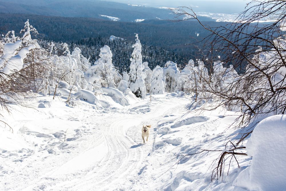 Photograph by Екатерина Устьянцева