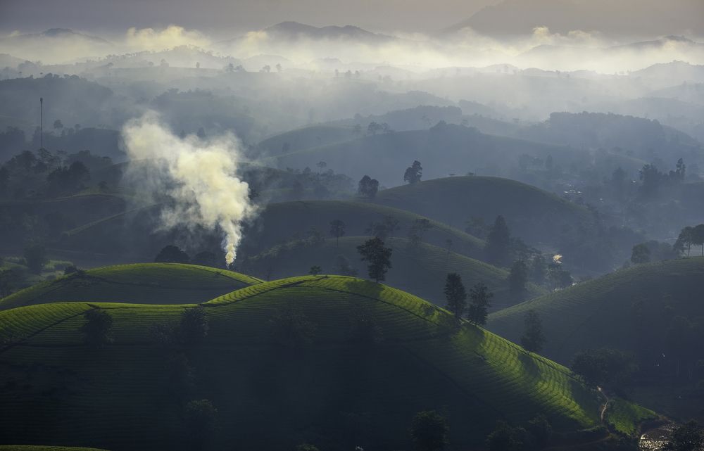 Photograph by Trần Viết Tú