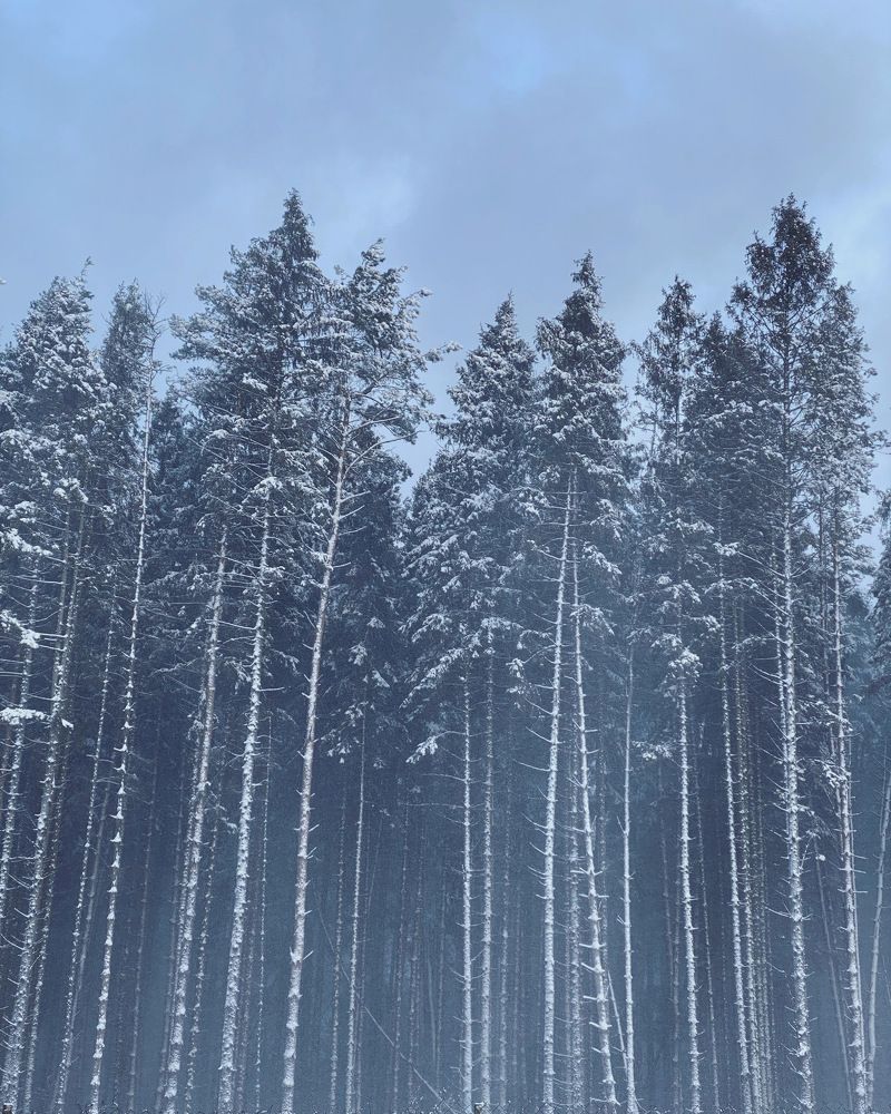 Photograph by Ольга Галкина