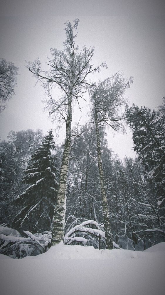 Photograph by Ольга Галкина