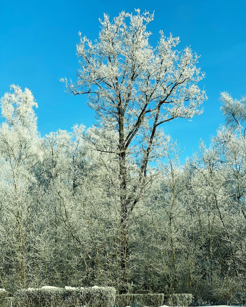 Photograph by Ольга Галкина