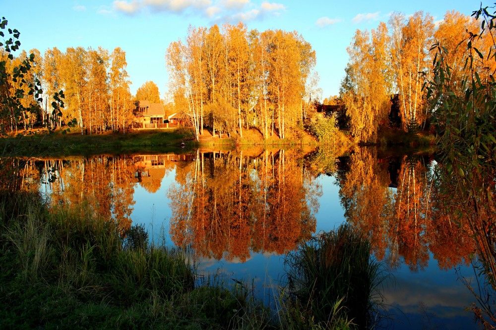 Осень наступает.