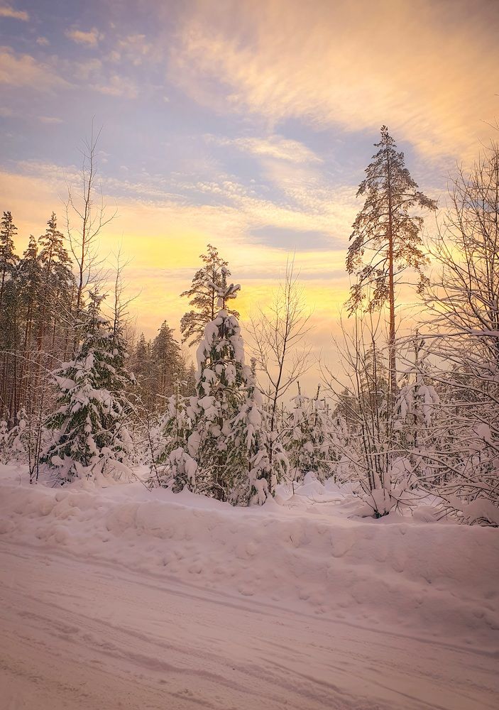 Морозное утро.