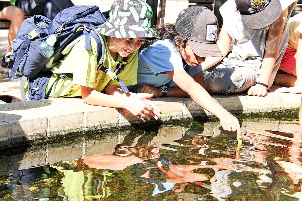 Photograph by Debbie Strauss