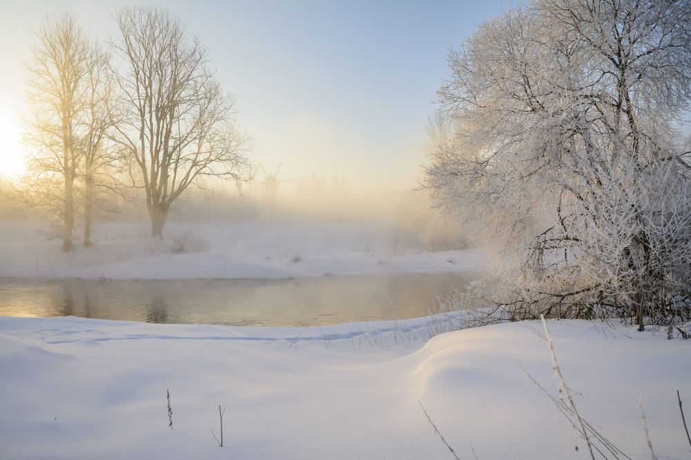 Фотография автора Анатолий Зверев