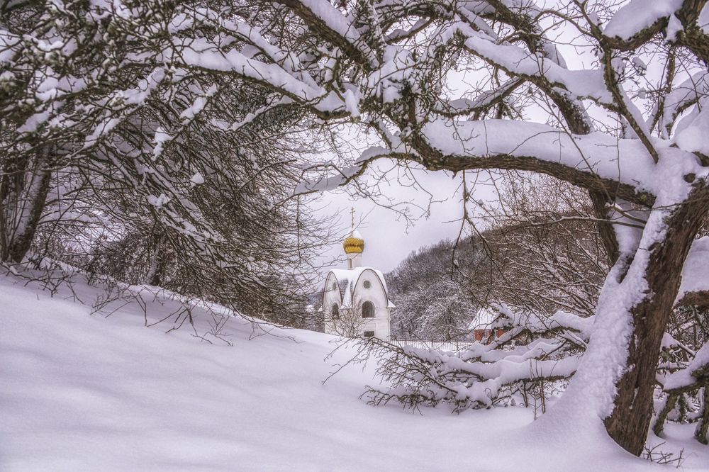 Храм в лесу