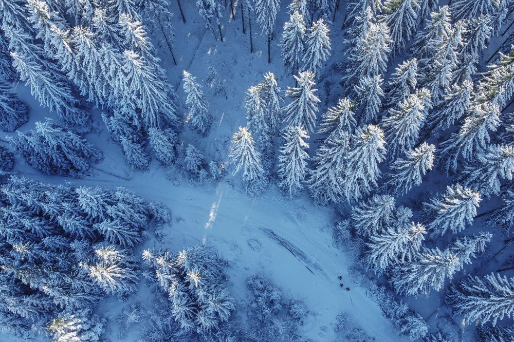 Photograph by Vladan Jeftovic