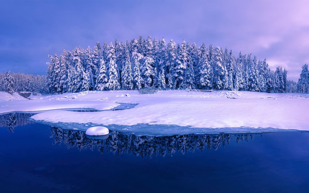 Photograph by Rumen Tzonchev