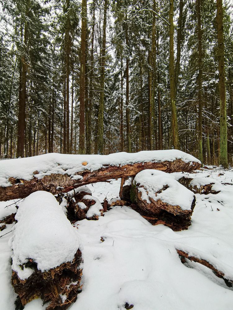 Photograph by Оксана Урбанович