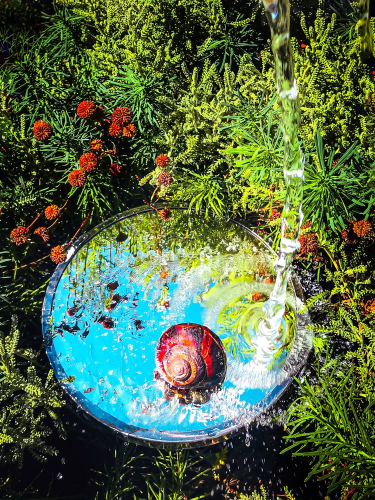 Photograph by Полина