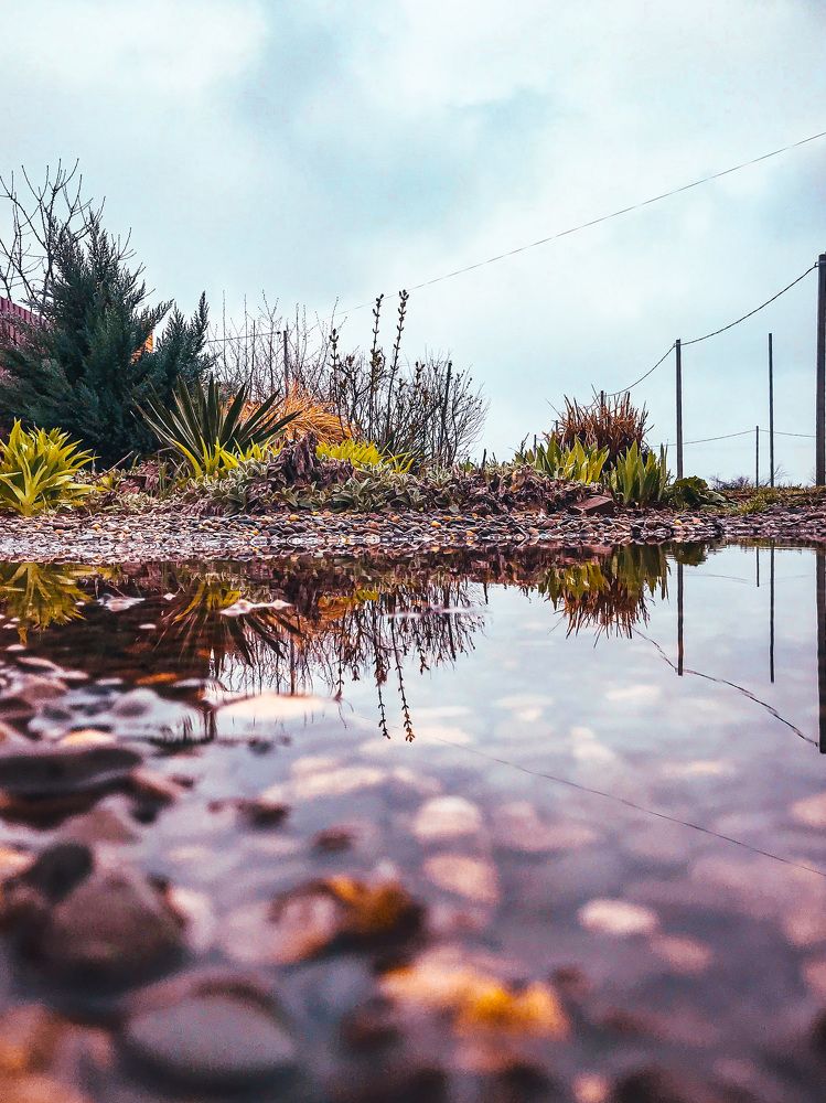 Photograph by Полина