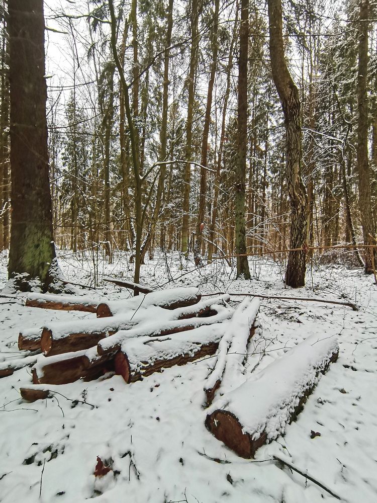 Photograph by Оксана Урбанович