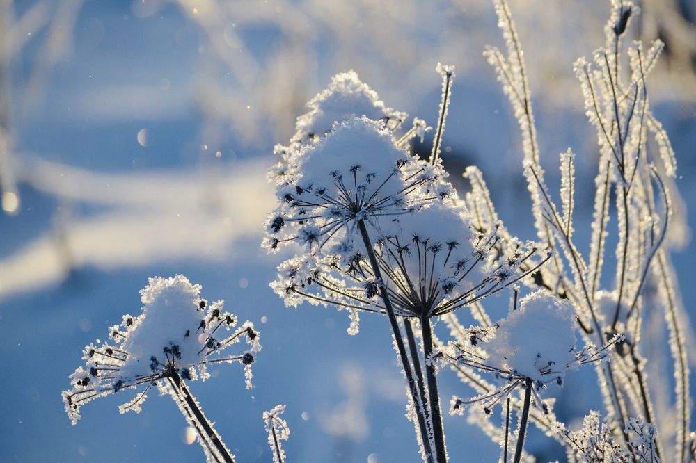 Photograph by Елена Шведова