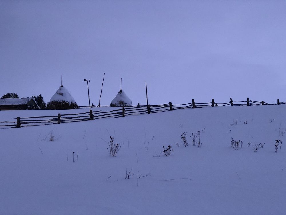 Photograph by Елена Шведова