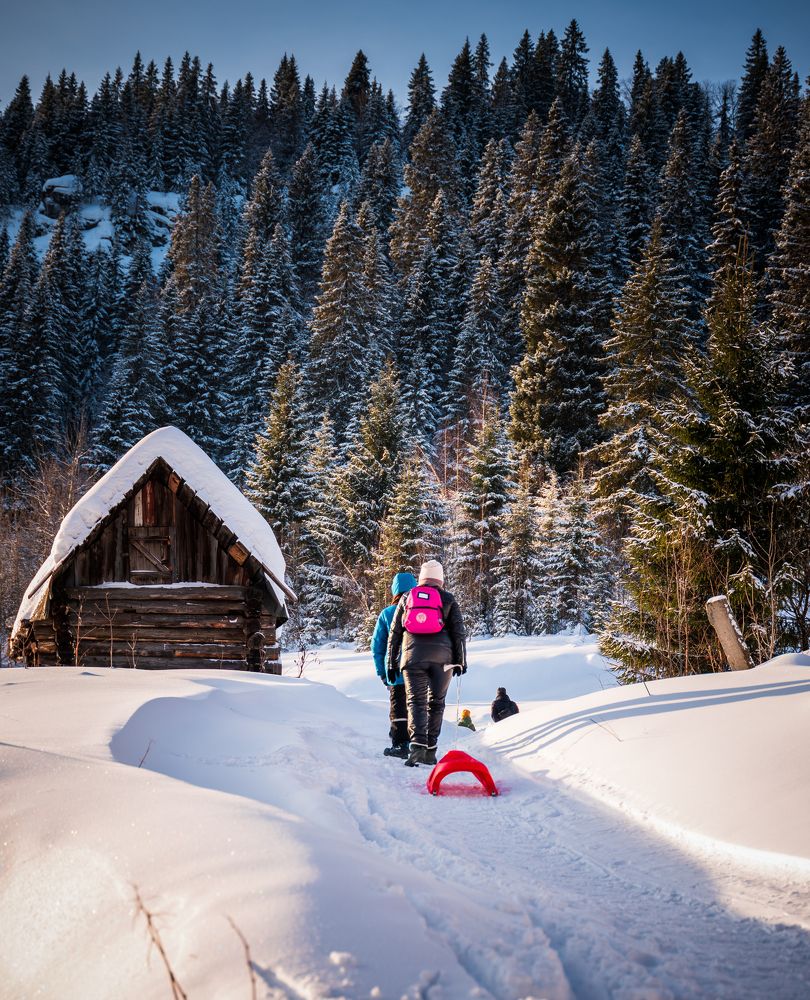 Photograph by Фархад Садыкахунов